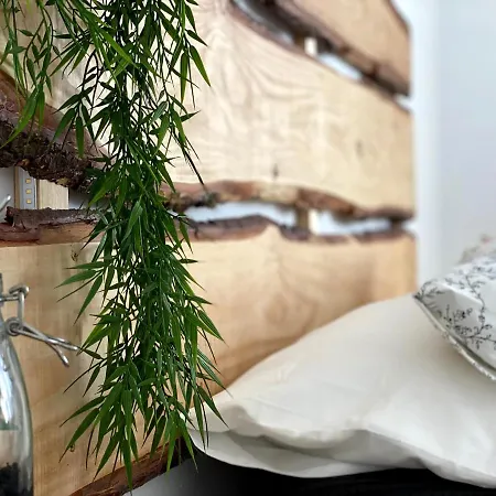 Secona Domus Naturalis 公寓 托里代巴拉